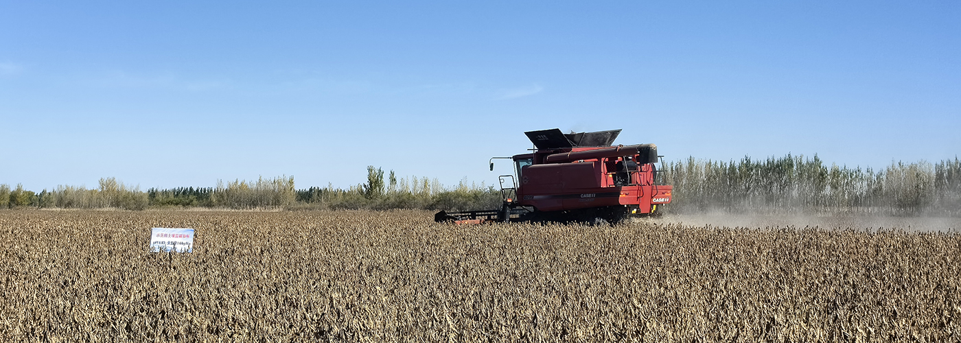 ARC生物耦合技術(shù)助力鹽堿地大豆增產(chǎn)